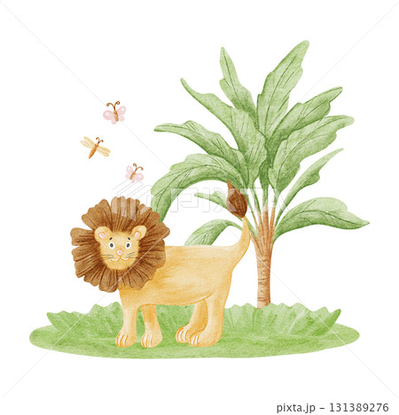 Watercolor lion in the wild child drawing illustration isolated on white, Funny friendly safari animal with palm tree, grass and butterflies for kids and children, African savannah nature clip art Watercolor lion in the wild child drawing illustration isolated on white, Funny friendly safari animal with palm tree, grass and butterflies for kids and children, African savannah nature clip art 131389276