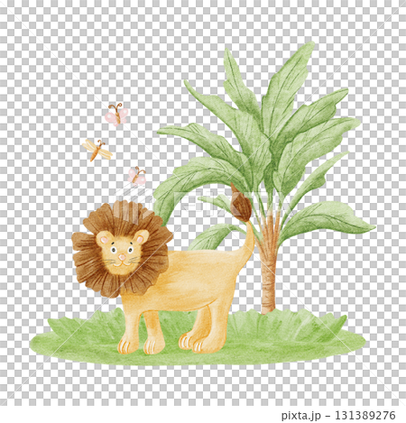 Watercolor lion in the wild child drawing illustration isolated on white, Funny friendly safari animal with palm tree, grass and butterflies for kids and children, African savannah nature clip art Watercolor lion in the wild child drawing illustration isolated on white, Funny friendly safari animal with palm tree, grass and butterflies for kids and children, African savannah nature clip art 131389276