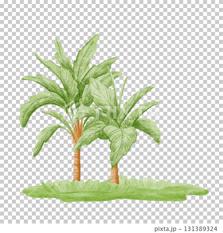 Palm trees growing on the grass lawn watercolor illustration illustration in simple childish style. Tropical nature clip art for African safari decor. Exotic landscape for summer prints 131389324