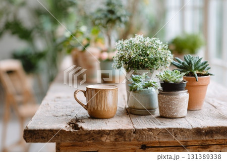 Desk plant decor featuring various potted succulents and a ceramic mug on a rustic wooden table Desk plant decor featuring various potted succulents and a ceramic mug on a rustic wooden table 131389338