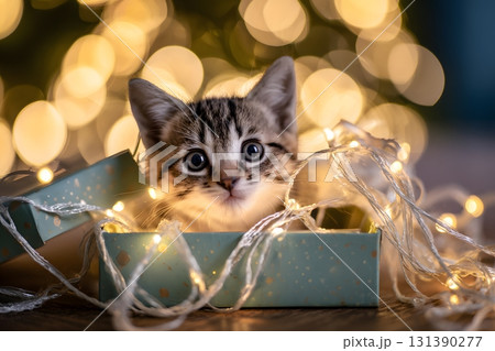 A cute cat peeking out from a gift box with bright lights 131390277