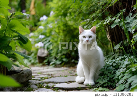 A white cat sits on a stone path among lush green plants. 131390293