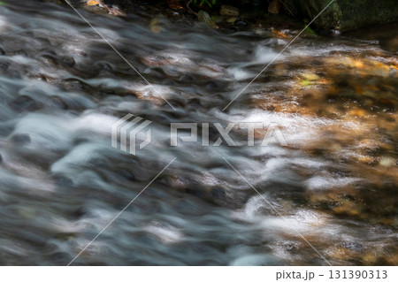 台湾 自然 天然 131390313