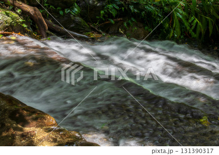台湾 自然 天然 131390317