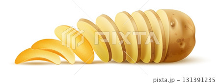 Realistic cut potato slices are turned into fried potato crisps chips. Fast food. Roasted vegetable piece. 3D raw tuber cutting. Unhealthy appetizer. Nosh snack. Vector isolated object Realistic cut potato slices are turned into fried potato crisps chips. Fast food. Roasted vegetable piece. 3D raw tuber cutting. Unhealthy appetizer. Nosh snack. Vector isolated object 131391235