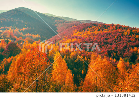 View of colorful mountain slopes on a sunny autumn day. Beautiful landscape. Carpathian Mountains, Carpathian Rus, Ukraine View of colorful mountain slopes on a sunny autumn day. Beautiful landscape. Carpathian Mountains, Carpathian Rus, Ukraine 131391412