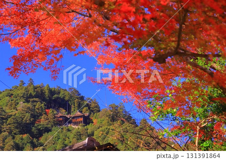 日吉大社三宮宮と牛尾宮　八王子山（滋賀県大津市） 131391864