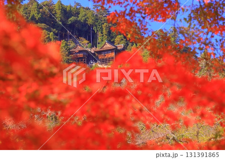 日吉大社三宮宮と牛尾宮　八王子山（滋賀県大津市 131391865