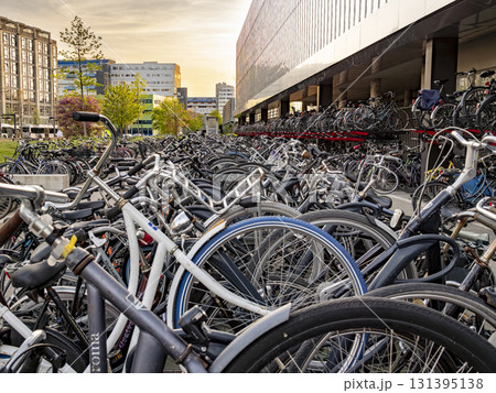 Rows of bicycles at the busy Rotterdam train station bike parking facility Rows of bicycles at the busy Rotterdam train station bike parking facility 131395138