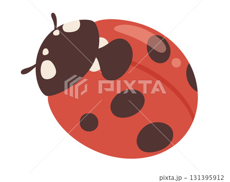 かわいいテントウムシのイラスト素材 かわいいテントウムシのイラスト素材 131395912