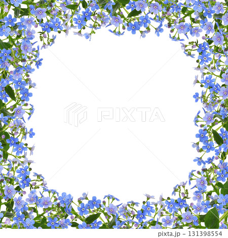 Sprig of blue forget-me-not (brunnera) flowers in a corner floral frame isolated on white Sprig of blue forget-me-not (brunnera) flowers in a corner floral frame isolated on white 131398554