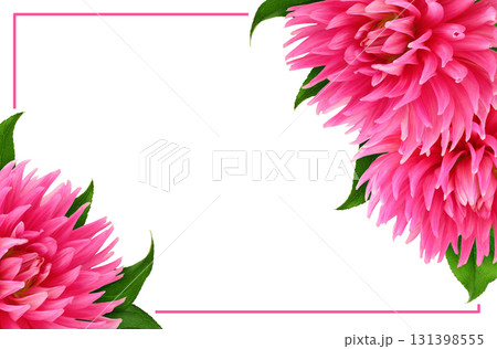 Pink dahlia flowers and limonium in a corner floral arrangements with frame isolated on white Pink dahlia flowers and limonium in a corner floral arrangements with frame isolated on white 131398555