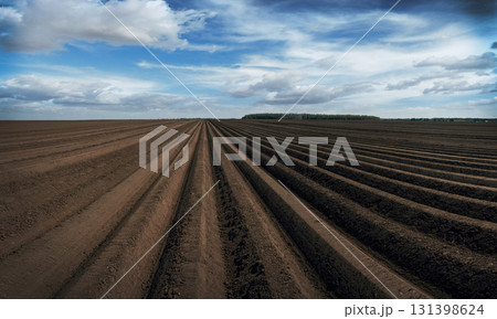 Beautiful landscape of agricultural field that is cultivated 131398624