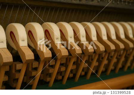 Piano Keys Closeup for Musical and Instrument Design 131399528