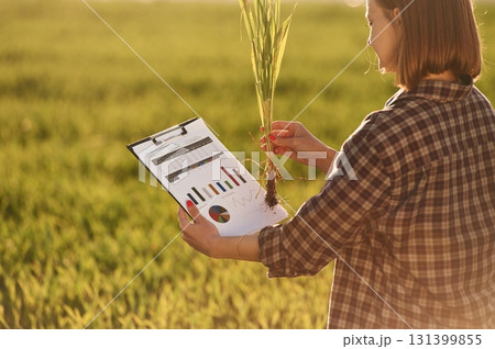 Scientist is checking the plant. Young woman is on the beautiful agricultural field at daytime Scientist is checking the plant. Young woman is on the beautiful agricultural field at daytime 131399855