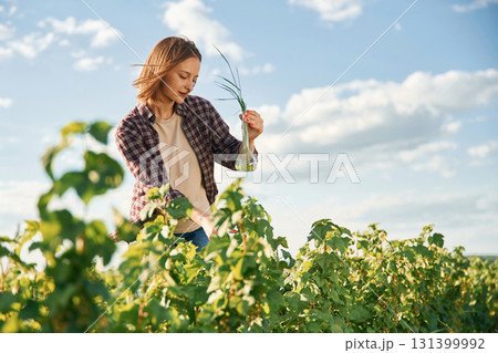 Single plant in the test tube. Young woman is on the beautiful agricultural field at daytime 131399992