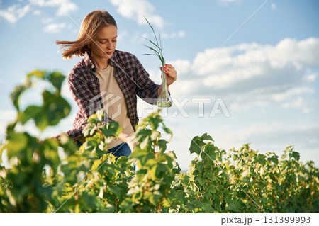 Single plant in the test tube. Young woman is on the beautiful agricultural field at daytime 131399993