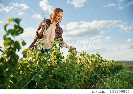 Single plant in the test tube. Young woman is on the beautiful agricultural field at daytime Single plant in the test tube. Young woman is on the beautiful agricultural field at daytime 131399995