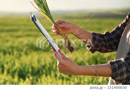 Side view. With notepad and plant. Young woman is on the beautiful agricultural field at daytime Side view. With notepad and plant. Young woman is on the beautiful agricultural field at daytime 131400030