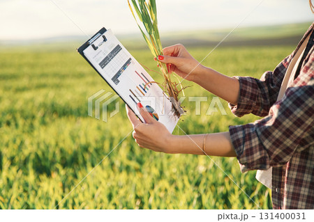 Side view. With notepad and plant. Young woman is on the beautiful agricultural field at daytime 131400031