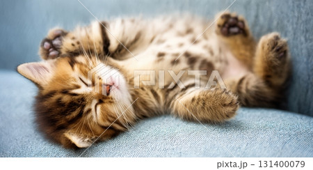 Cute tabby kitten sleeping peacefully on its back Cute tabby kitten sleeping peacefully on its back 131400079