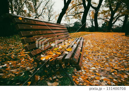 An empty wooden bench in a park covered with fallen autumn leaves under the bare autumnal trees. A park bench covered in yellow autumn foliage offers a tranquil scene of fall parkland. Empty seat. An empty wooden bench in a park covered with fallen autumn leaves under the bare autumnal trees. A park bench covered in yellow autumn foliage offers a tranquil scene of fall parkland. Empty seat. 131400708