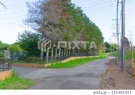 千葉県船橋市小室霊園周辺2025年9月 千葉県船橋市小室霊園周辺2025年9月 131401451