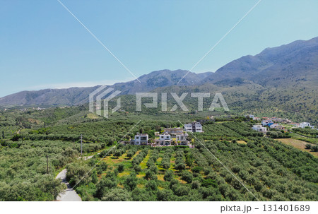 Traditional Cretan landscape with olive fields, villas, mountains and clear sky. Traditional Cretan landscape with olive fields, villas, mountains and clear sky. 131401689