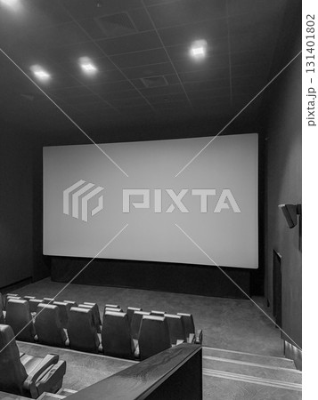 Empty Cinema Hall in Black and White Empty Cinema Hall in Black and White 131401802