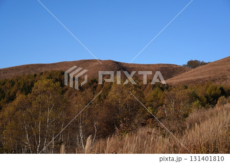 秋の風景 秋の風景 131401810