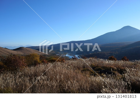 白樺湖の風景 白樺湖の風景 131401813