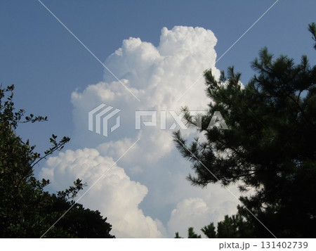 稲毛海岸の青い空と白い雲 131402739