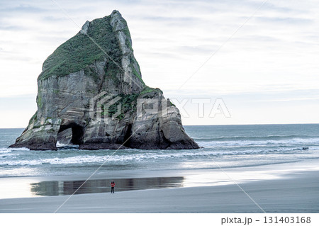 ニュージーランド南島の自然/ワラリキビーチ ニュージーランド南島の自然/ワラリキビーチ 131403168