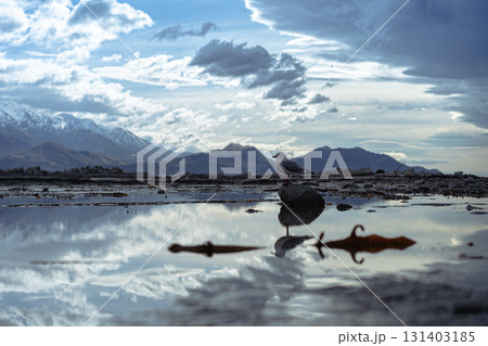 ニュージーランド南島の自然/カイコウラ ニュージーランド南島の自然/カイコウラ 131403185