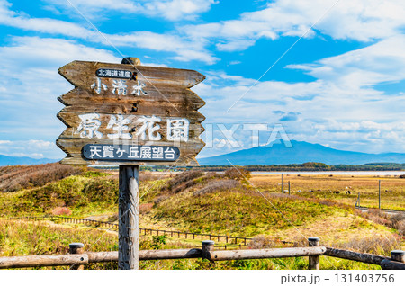 北海道 晩秋の小清水原生花園　～展覧ヶ丘展望台から斜里岳を望む～ 131403756
