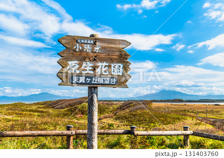 北海道 晩秋の小清水原生花園　～展覧ヶ丘展望台から斜里岳を望む～ 131403760