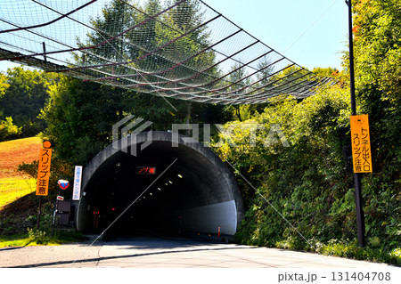 志賀1号トンネル/ジャイアントスキー場周辺(長野県山ノ内町)【2025.9】 志賀1号トンネル/ジャイアントスキー場周辺(長野県山ノ内町)【2025.9】 131404708