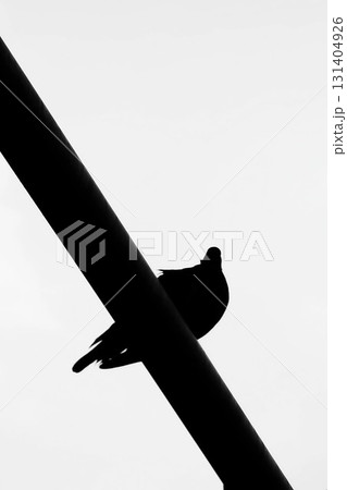 Silhouette of Bird on Diagonal Beam Against Sky Silhouette of Bird on Diagonal Beam Against Sky 131404926