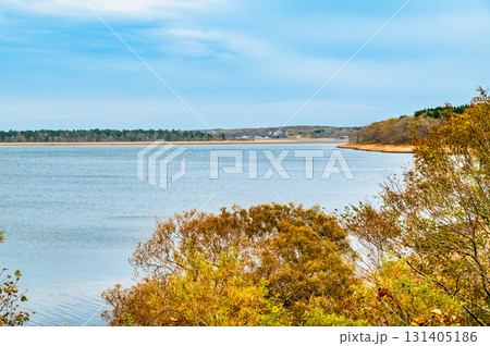 北海道 秋の風蓮湖 131405186