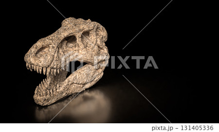 The T rex Skull for Education Or sci concept 3d Rendering. 131405336