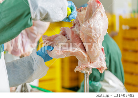 Gloved worker trims raw turkey breast from carcass on a chilled poultry line, showing safe hygiene and industrial food production. Gloved worker trims raw turkey breast from carcass on a chilled poultry line, showing safe hygiene and industrial food production. 131405482
