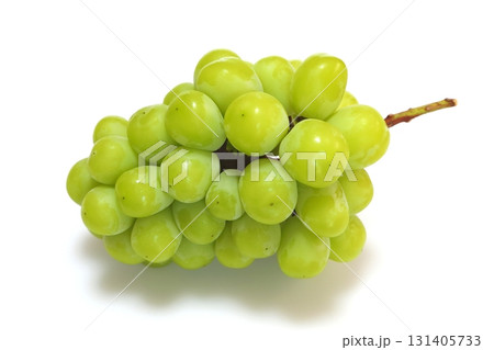 シャインマスカット シャインマスカット 131405733
