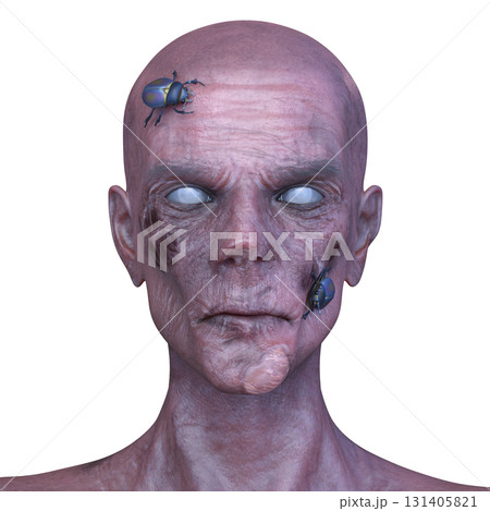 男性ゾンビの顔 131405821