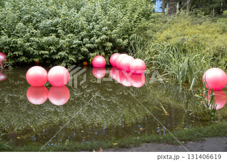 Bright pink balls float on a calm pond, reflecting clearly in the water with greenery and a wooden house in Peredelkino 131406619