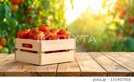 Tomatoes in Wooden Crate 131407008