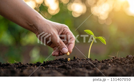A hand is holding a new sprout from the earth, symbolizing care, growth, and the protection of nature's seedling life 131407050