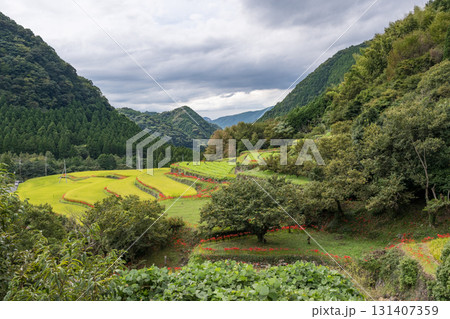 番所の彼岸花 131407359
