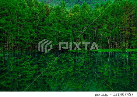 神秘的な御射鹿池 131407457