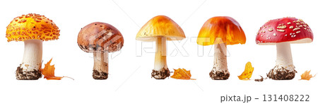 Various mushrooms lined up together, created with AI Various mushrooms lined up together, created with AI 131408222