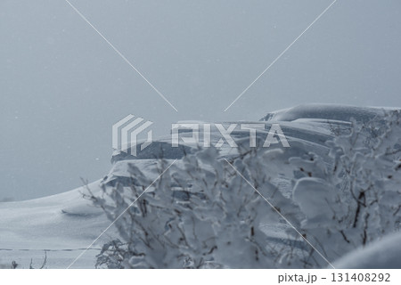 雪庇　イメージ 131408292